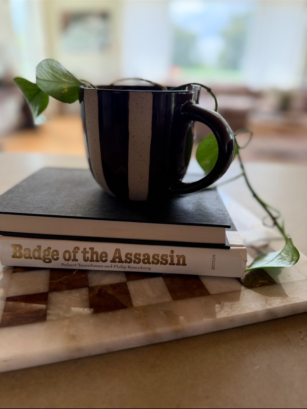 Book Stack Set for Table/ Shelf Decor